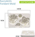 2PCS Succulent Fondant Mold - Fern Leaf Silicone Molds for Cake Decoration, Gumpaste 3D Molds for Cupcakes