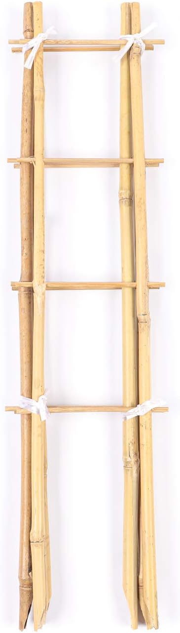 24 Inch 3 Pack Cambaverd Trellis for Potted Plants, Bamboo Trellis Indoor, Natural Garden Trellis for Climbing Plant