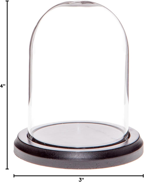 Plymor 3" x 4" Glass Display Dome Cloche with Black MDF Wood Base