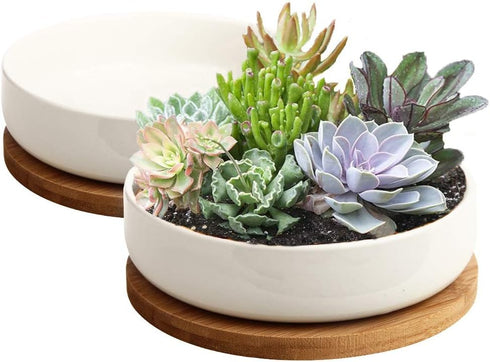 ZOUTOG 6 Inch White Ceramic Flower Planter Pots with Bamboo Tray, Pack of 2 - Plants Not Included