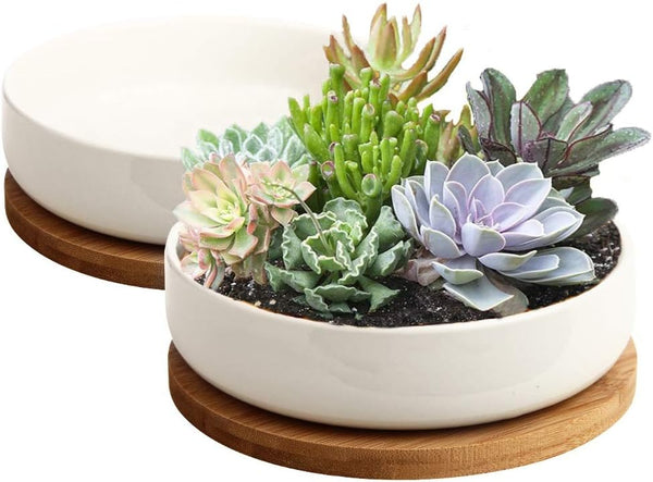 ZOUTOG 6 Inch White Ceramic Flower Planter Pots with Bamboo Tray, Pack of 2 - Plants Not Included