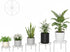 NQW 5 Pack Heavy Duty Metal Stand Decorates Multiple Plants for Indoor and Outdoor, Anti-Rust Iron Flower Pot Holder