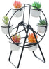 Ferris Wheel Plant Stand with 6 Planters Succulent Pots for Home Office