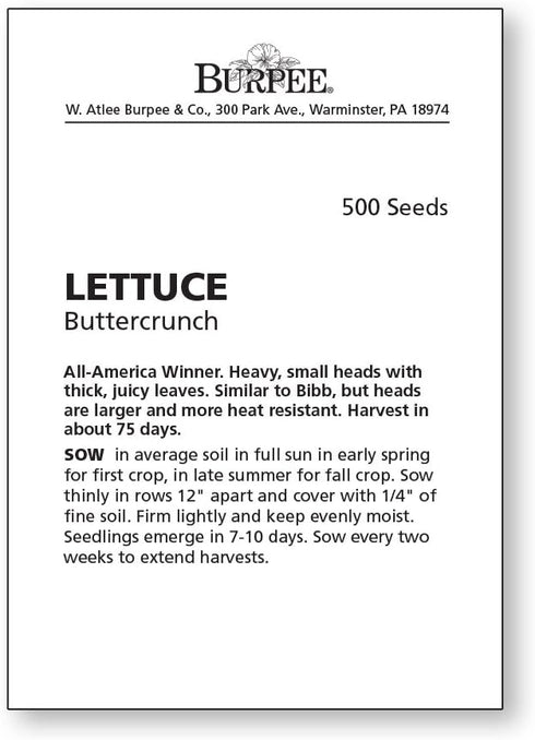500 Burpee Buttercrunch Lettuce Seeds seeds