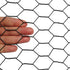 18" x50' 1" 20GA PVC Hexagonal Poultry Netting Chicken Wire x Mesh Black