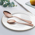 LIANYU 10-Piece Copper Silverware Flatware Set, Stainless Steel Cutlery Set for 2, Eating Utensils Tableware for Wedding Festival Party, Mirror Finished, Dishwasher Safe by LIANYU