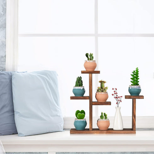 Wooden Tabletop Plant Stand, 5 Tier Succulent Plant Holder, Decorative Planter Holder for Living Room Home Office