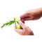 Joie Leaf Herb Stripper, Stainless Steel Kitchen Gadget, Quickly Removes Leaves, 6 Holes, BPA-Free