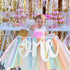 1st BEISHIDA Birthday High Chair Banner Garland - Pastel Rainbow Baby Shower Decorations,Rainbow Theme Banner for First