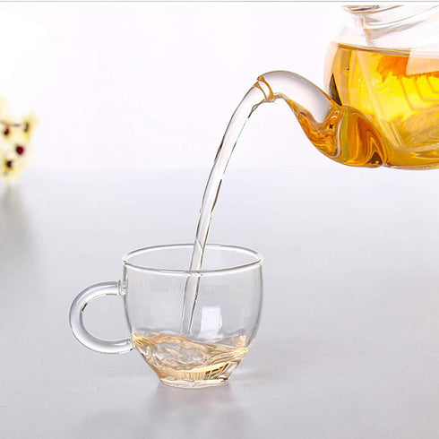 Glass Teapot 20oz with Infuser, Borosilicate Kettle Set for Loose Tea, Stovetop and Microwave Safe
