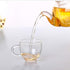 Glass Teapot 20oz with Infuser, Borosilicate Kettle Set for Loose Tea, Stovetop and Microwave Safe