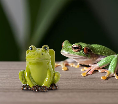 dgudgu Frog Sponge Holder for Kitchen Sink Cute Kitchen Sponge Holder Ceramic Kitchen Sink Sponge Holder Durable Sink