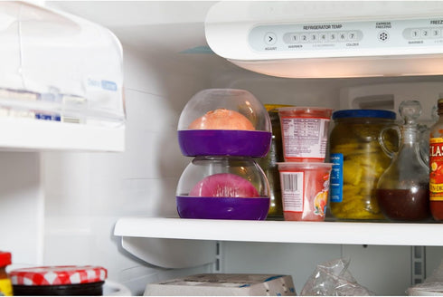 Progressive Prepworks Purple Onion Keeper, 1, A