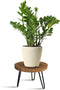 Plant Stand Indoor Outdoor Wood Mid Century Plant Stand for Indoor Plants,