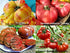 Harley Seeds 30 19 Mixed Seeds Giant Tomato Seeds, Mix of Varieties, Heirloom Non-GMO, Brandywine Black, Red, Yellow