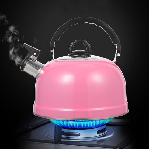 Lurrose Pink Teapot, Whistling Stainless Steel Tea Kettle for Home, Dorm, Apartment