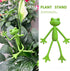 TNDCKP (5Pcs) Frog Plant Stand, Frog Plant Holder, Flower Pot Hugger Plant Climbing Fixture Clips, Cute & Stable