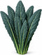 Sunutri Seeds Black Tuscan Lacinato Kale Seeds Dark Blue-Green Leaves with Upright Growth for