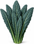 Sunutri Seeds Black Tuscan Lacinato Kale Seeds Dark Blue-Green Leaves with Upright Growth for