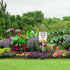 Wildflowers Do Not Mow Metal Yard Sign (7x8.8) with Stake for Lawn Garden Farm Decor, No Mow Lawn Sign