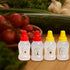 4Pcs 25ml Mini Ketchup Bottles, Refillable Condiment Squeeze Bottle Salad Dressing Tomato Bento Box Mayo Syrup