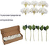 Kimura's Cabin 6pcs Faux White Hydrangea Flowers Bouquets for Home Table Centerpieces & Wedding Decoration