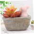 Yardwe Ceramic Planter, Unique Cactus Pot, Decorative Airplant Pot, Mini Container for Bonsai or Desk Topper