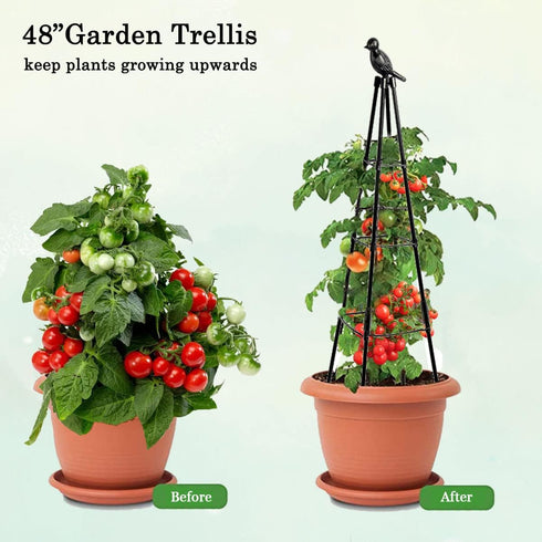 CEDOCSH 1 Pack Garden Trellis, Support Plant Stand for Climbing Plants Outdoor and Indoor Trellis, Potted Plants