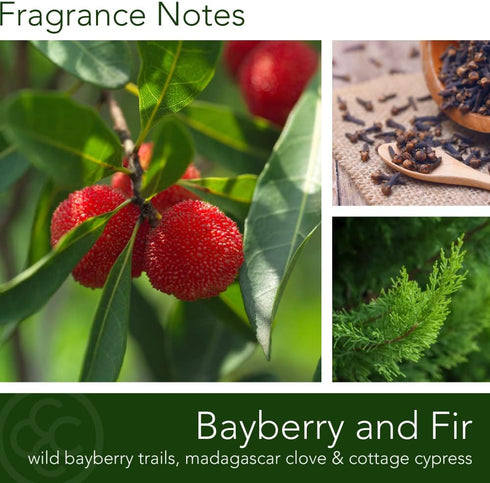 Colonial Candle Bayberry Fir Scented Jar Candle - 2-Wick Natural Soy Blend Wax Candle for Home Aromatherapy