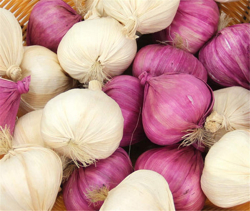 Zzooi 10PCS Artificial Lifelike Fake Garlic Faux Garlic White and Red Totall
