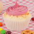 200 Counts Standard White Cupcake Liners for Baking, Caperci Greaseproof Muffin Baking Cups for Parties