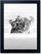 Yecohom Art Black and White Bathroom Decor Animals Koalas Wall Art Funny Animal Pictures