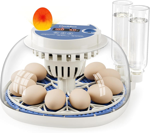 12 Egg Incubators for Hatching Eggs, Temperature and Humidity Control, Automatic Egg