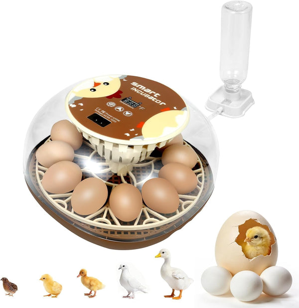 ShellBr8ker Nest I - 12 Egg Incubator for Beginners, Auto Egg Turning, Consistent