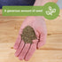 7 4000 Pack Sow Right Seeds - Bulk Scarlet Nantes Carrot Seed for Planting - Grams, Seeds - Non-GMO Heirloom Jumbo