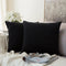 MIULEE Velvet Throw Pillow Covers - Pack of 2, 18x18 Inch, Black, Super Soft Decorative Square Cushion Cases for Home