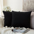 MIULEE Velvet Throw Pillow Covers - Pack of 2, 18x18 Inch, Black, Super Soft Decorative Square Cushion Cases for Home