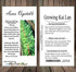MySeeds.Co - BIG PACK Seeds Pack (1,500) Pack Big - Chinese Broccoli, Kailan GAI LAN Seeds - Used in Cantonese Cuisine