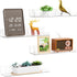 Yieach 4 Pack Acrylic Shelves for Wall Storage,No Drilling Adhesive Shelves,Clear Stick On