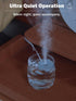 Small Flower USB Humidifier, Creative Mini Ultrasonic Fogger for Home Bedroom Office Desk (Blue+Red)