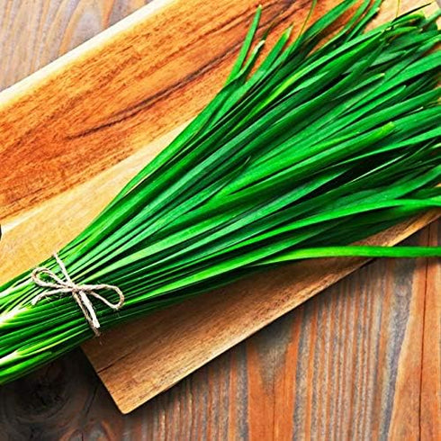 (1.5g) 90% Gaea's Blessing Seeds - Garlic Chives Seeds Non-GMO High Yield Open-Pollinated Heirloom Chinese Leek