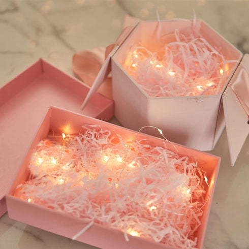 Etinga 6 Pack 10 3.3ft (6 Pack, Fairy Lights Battery Operated String Lights, LED on Silvery Copper Wire,High Brightness