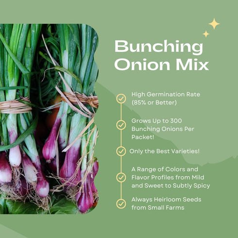 Liliana's Garden Pack 50 Bunching Onion Mix Bunching Onion Seeds Fast-Growing Bunching Onions Red, Long White