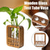 2 Walnut Wood Terrarium Planter - Glass Test Tube Vase & Boho Plant Stand for Hydroponics, Home Office Desk Decor