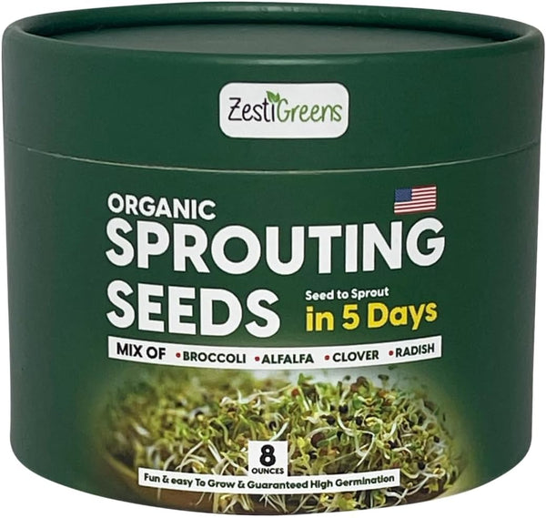 ZestiGreens Fresh Sprouting Seeds Mix Broccoli, Alfalfa, Radish, Clover Seeds in Food