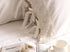 One Piece White Wide Crochet Lace 100% Cotton Pillowcase, King 20"x36"