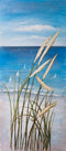 Posterazzi Collection Wild Herbs ON The Beach Poster Print by Atelier B Art Studio (20 x 10)