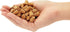 Size #1 Tapered Cork Plugs for Test Tubes, Mini Bottle Stoppers, DIY Crafts, 100 Pack (0.4 x 0.3 x 0.5 In)