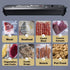 Portable Vacuum Sealer, Automatic Food Storage Sealing Machine for Home & Kitchen