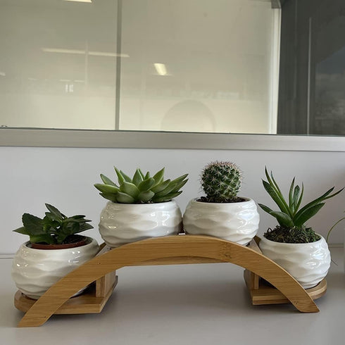 Set, Pack 4, E-liu Succulent Pots and Stand Ceramic White Succulent Planter Pot with Drainage, of Cute Office Garden